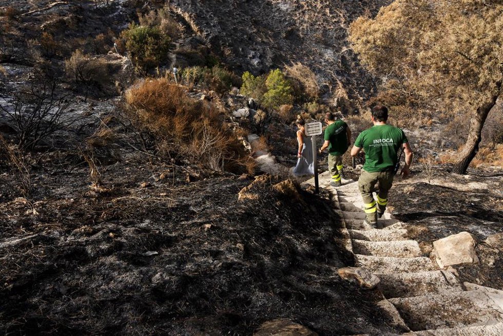 Profesionales del Infoca trabajan en los restos del incendio de Los Gallardos (Almería)