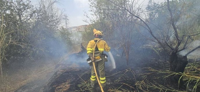 Extinguido el incendio de vegetación declarado junto al colegio Cristo Crucificado de Cieza