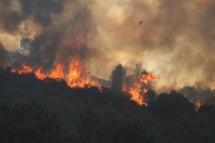 Vista del incendio forestal de Ribas de Sil, a 12 de julio de 2026, en Ribas de Sil, Lugo, Galicia (España). El fuego, originado el sábado por la tarde, continúa sin estar controlado y la superficie afectada ha pasado de 90 a 100 hectáreas a lo largo de l