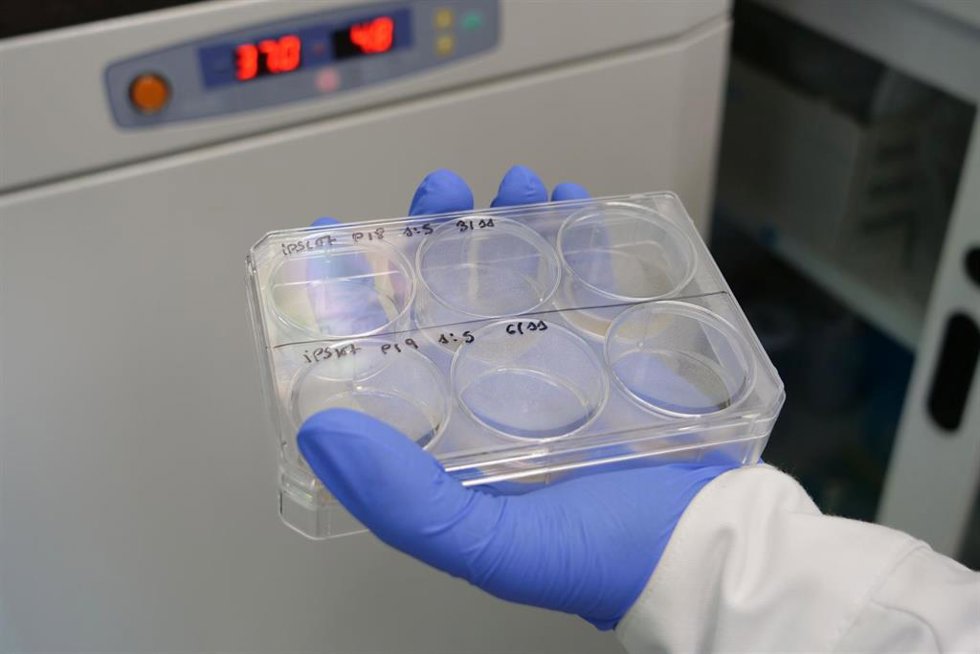Investigadores