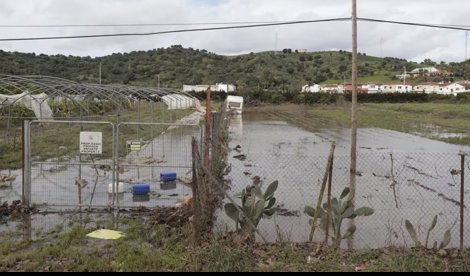 EpAgro - Pesca