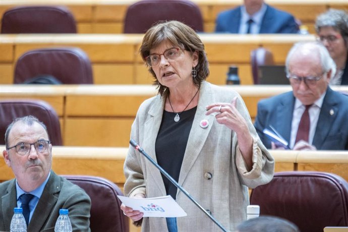 Archivo - La senadora del BNG, Carme da Silva, durante una sesión.