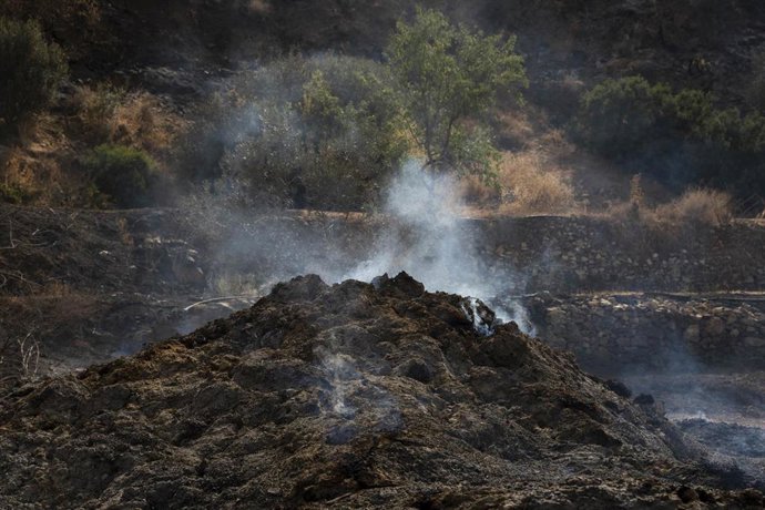 Zonas afectadas por el incendio forestal de Los Gallardos (Almería).
