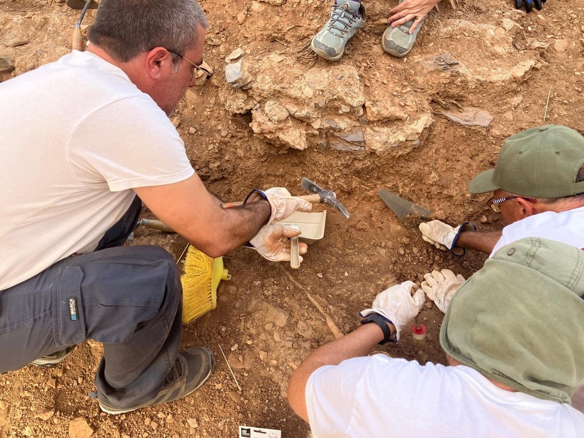Las excavaciones en el Castillejo de Monteagudo revelan un nuevo muro del conjunto palacial de Ibn Mardanís
