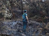 Investigado como responsable de un incendio forestal en Adamuz (Córdoba) por imprudencia en la quema de restos de poda