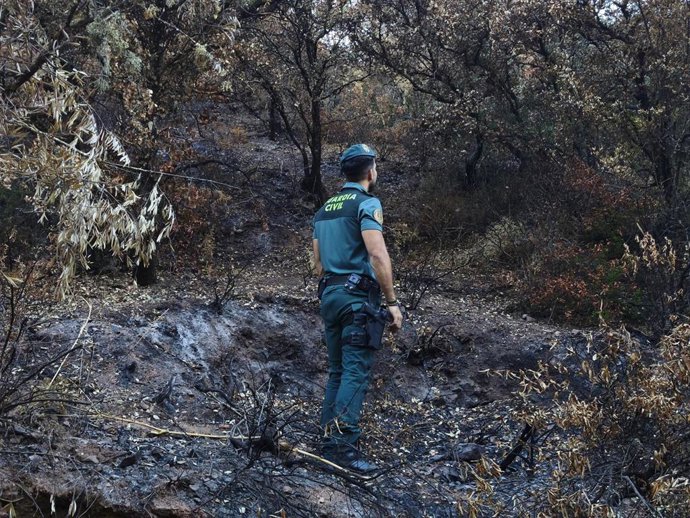 Un guardia civil en la zona del incendio.