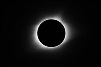 Cort organiza un plan con cortes de tráfico en Playa de Palma y garantías acceso a infraestructuras durante el eclipse