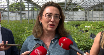 Vídeos