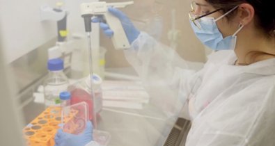 Investigación