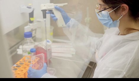 Investigación