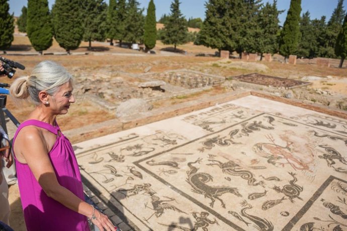 Del Pozo observa uno de los mosaicos de la Ínsula de Neptuno de Itálica, en Santiponce, tras su restauración