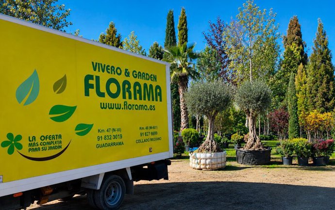 Especies resistentes para el futuro de la jardinería