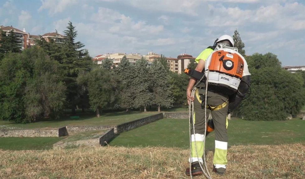 Trabajos de limpieza en la Ciudadela.