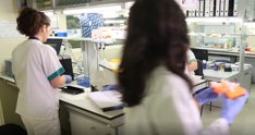 Laboratorio