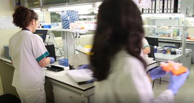 Laboratorio