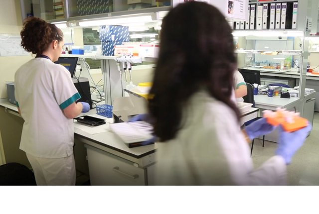 Laboratorio