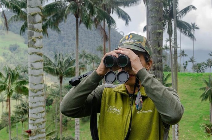 Técnico de Loro Parque Fundación