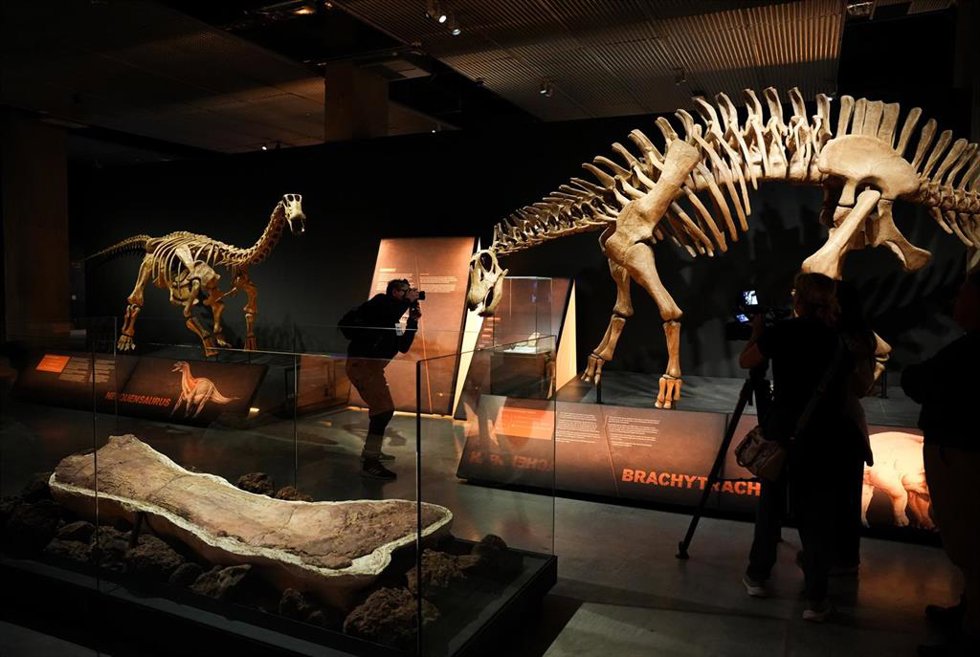 Archivo - Exposición 'Dinosaurios de la Patagonia'. A 09 de abril de 2026, en Sevilla (Andalucía, España).'Presentación de 'Dinosaurios de la Patagonia', una exposición desarrollada por el Museo Paleontológico Egidio Feruglio.
