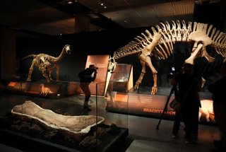 Archivo - Exposición 'Dinosaurios de la Patagonia'. A 09 de abril de 2026, en Sevilla (Andalucía, España).'Presentación de 'Dinosaurios de la Patagonia', una exposición desarrollada por el Museo Paleontológico Egidio Feruglio.