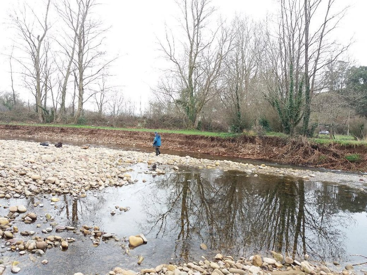 La Guardia Civil investiga la muerte de peces en el río Pisueña
