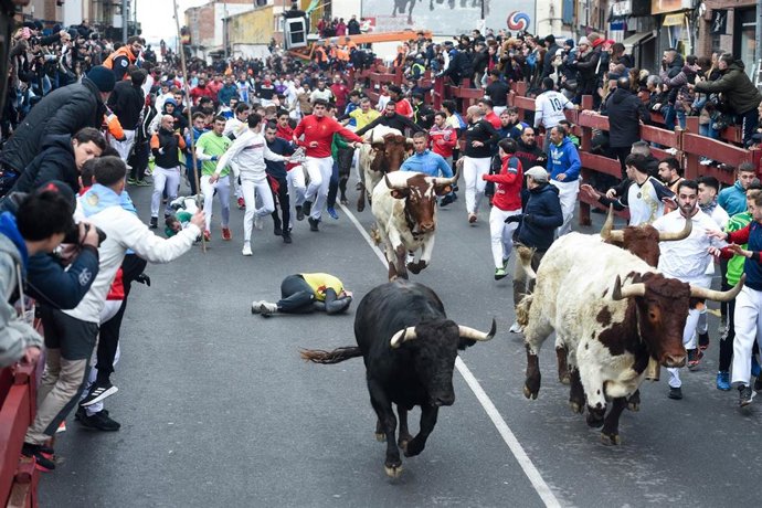 Archivo - Varios corredores durante uno de los ‘encierros blancos’ de San Sebastián de los Reyes, a 18 de enero de 2026, en San Sebastián de los Reyes, Madrid (España). Los encierros denominados ‘encierros blancos’ por su celebración en invierno, hacen tr