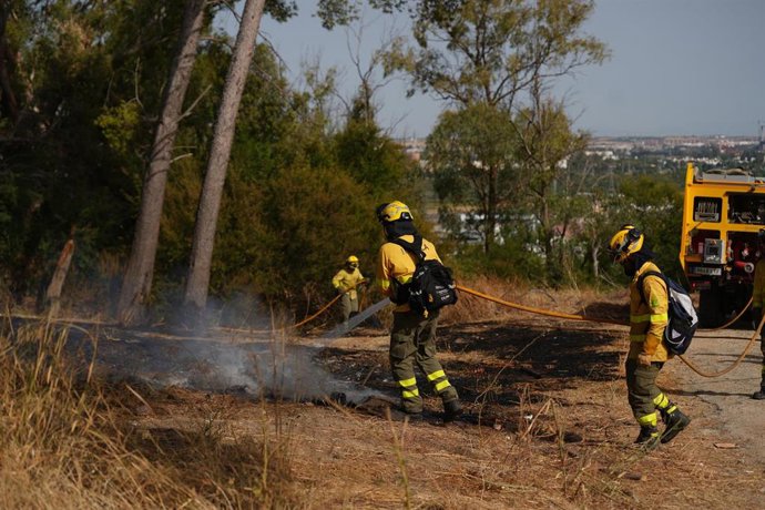 Efectivos del Infoca trabajan en la extinción de un incendio declarado en Camas (Sevilla).