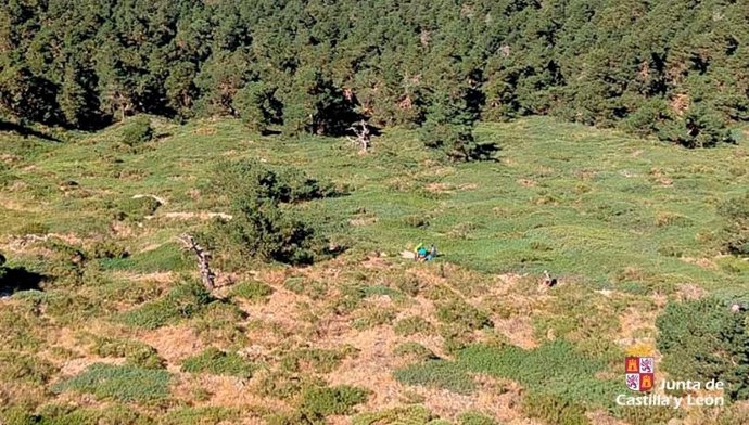 Rescatan a una mujer indispuesta en la peña Citores en el Real Sitio de San Ildefonso (Segovia)