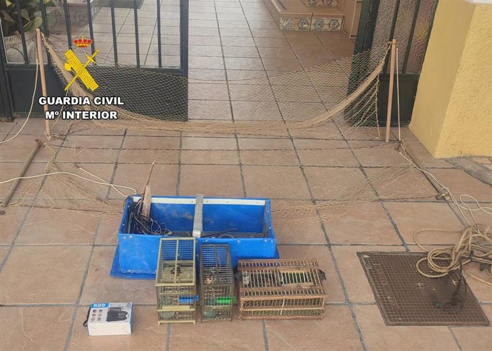 Aves fringílidas rescatadas en Jaén por la Guardia Civil.