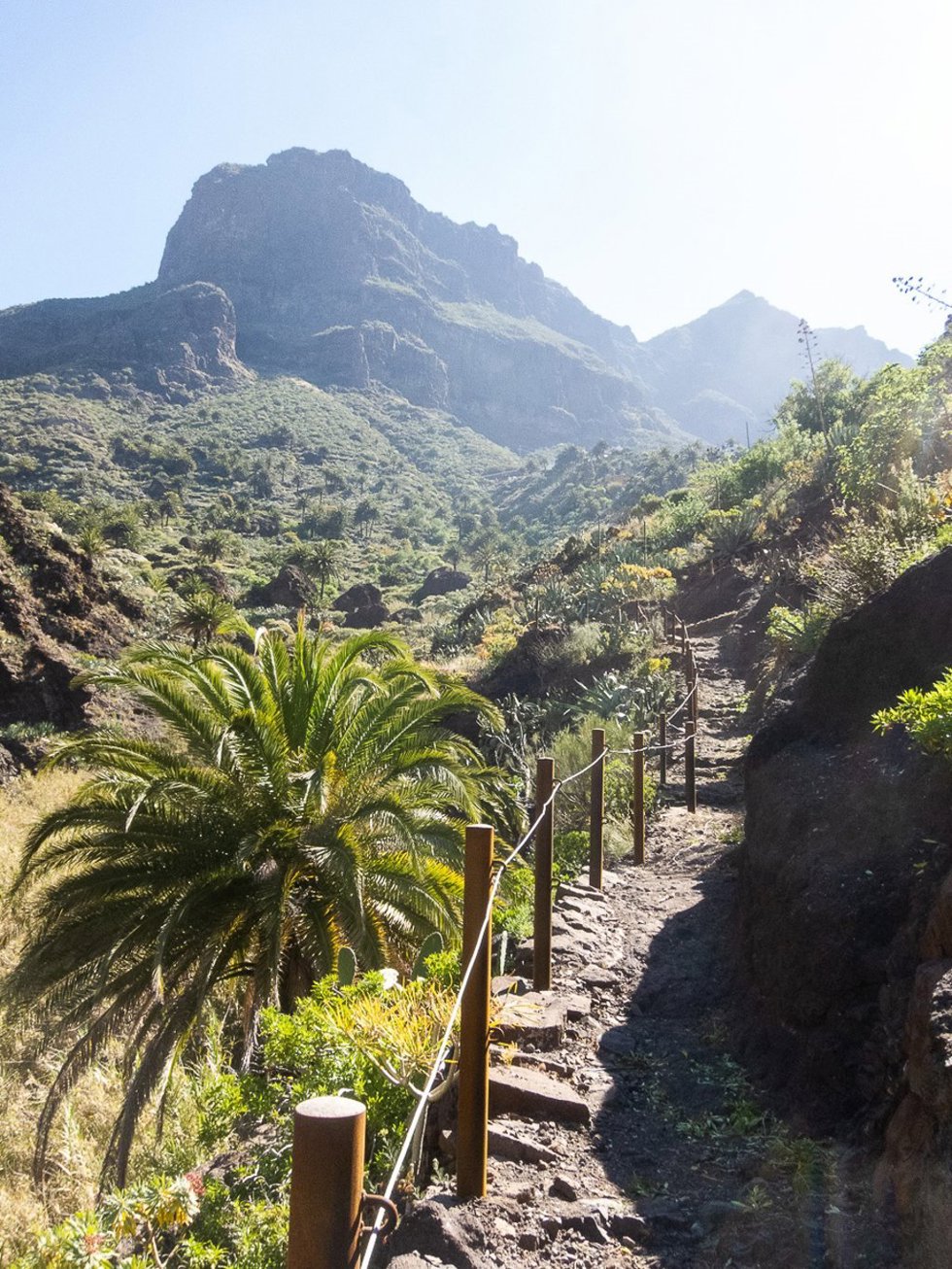 Archivo - Barranco de Masca