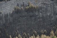Evacúan tres pueblos más por el fuego de La Mierla y se decreta el confinamiento en Hiendelaencina