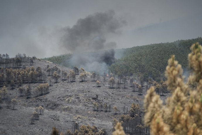 Área florestal queimada pelo incêndio, em 18 de julho de 2026, em La Mierla, Guadalajara, Castela-La Mancha (Espanha). O incêndio continua ativo em várias frentes e avança em direção ao município de Semillas, o que obrigou à evacuação de 529 moradores de 