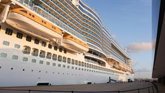 Foto: La otra huella del turismo de cruceros: Su contaminación aumenta el riesgo de infecciones virales en ciudades portuarias