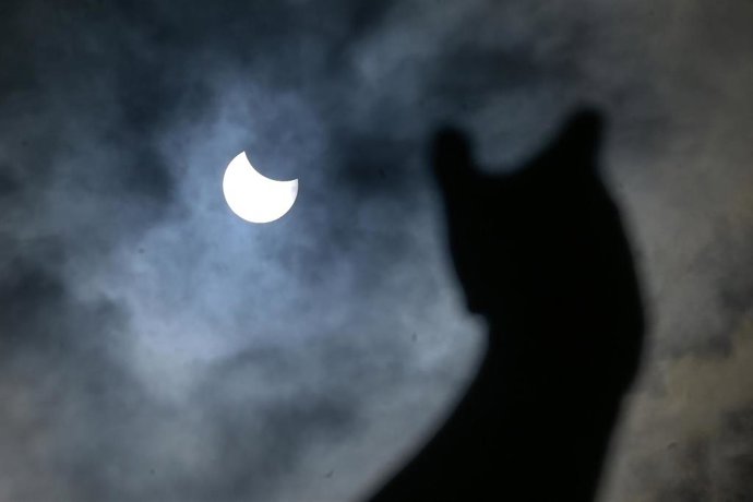 Archivo - Eclipse parcial del sol el 29 de marzo de 2025.