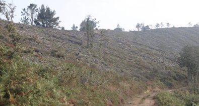 Asturias Rural