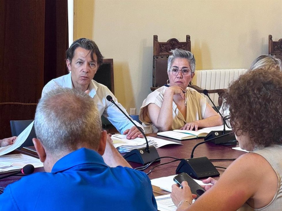 La presidenta de la Comisión de Quejas y Reclamaciones y concejala de VTLP, Cristina Colino