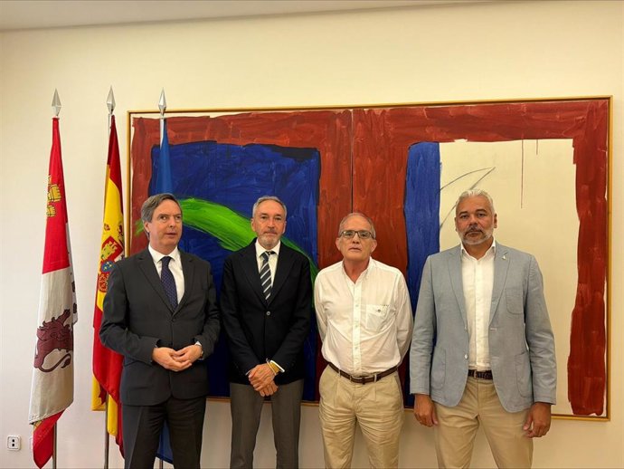 Reunión del consejero de Cultura, Turismo y Deporte de la Junta, Alberto Díaz Pico, con Afedecyl
