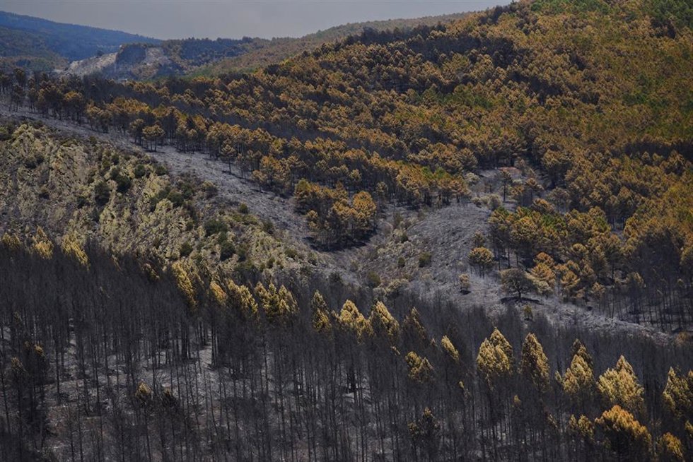 Superficie forestal quemada durante el incendio forestal, a 19 de julio de 2026, en Muriel, Guadalajara, Castilla-La Mancha (España). Los trabajos de extinción están siendo muy complicados debido a la fuerza del viento, que está empujando las llamas hacia