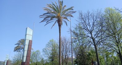 Extremadura