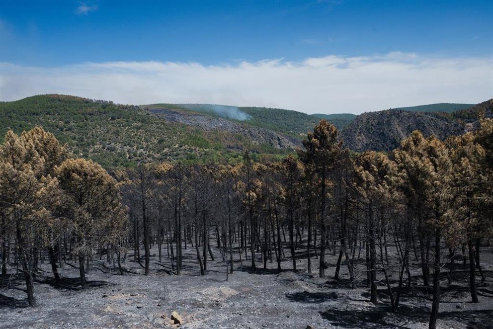 Superficie forestal quemada durante el incendio forestal de La Mierla en Muriel.