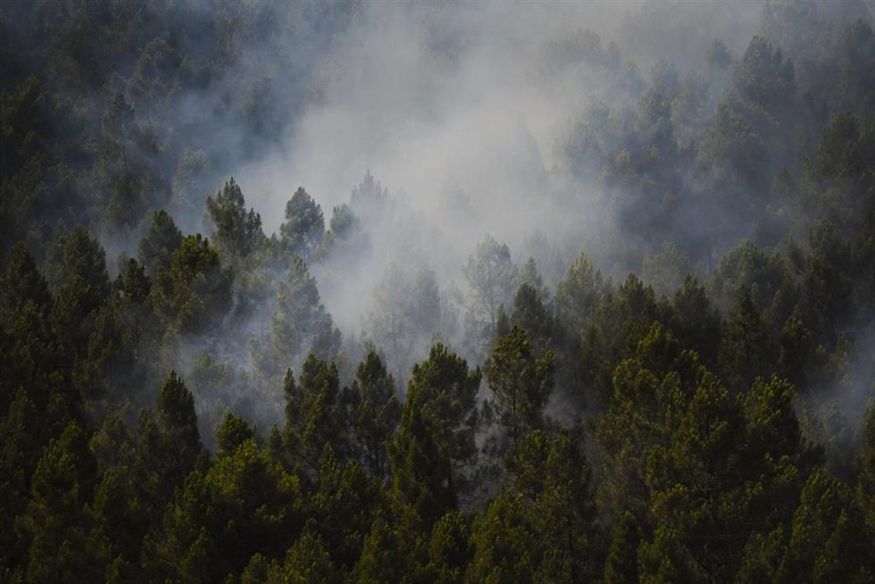 Superficie forestal quemada durante el incendio forestal, a 19 de julio de 2026, en Muriel, Guadalajara, Castilla-La Mancha (España). Los trabajos de extinción están siendo muy complicados debido a la fuerza del viento, que está empujando las llamas hacia