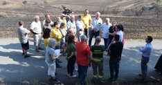 Aldia Espanya