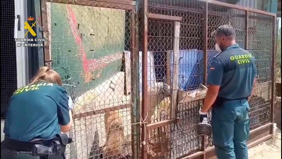 Protectora de animales clausurada