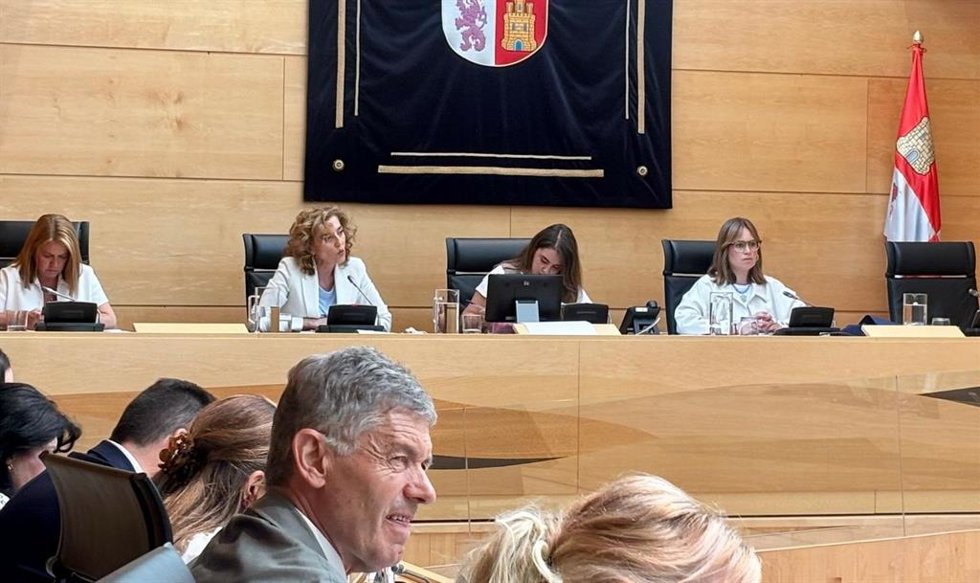 Comparecencia de la consejera de Educación, María Pardo