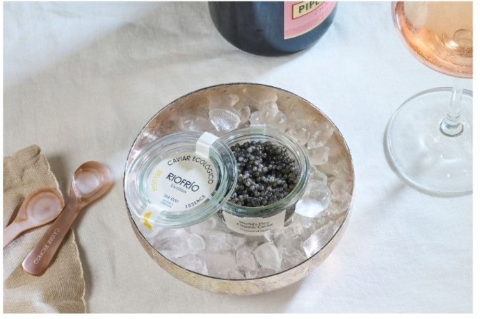 Beluga ecológico 'made in Granada': el caviar más exclusivo del mundo vuelve en edición ultra limitada