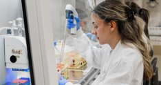 Investigación
