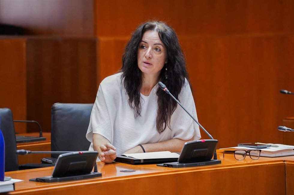 Archivo - La diputada de IU Aragón, Marta Abengochea.