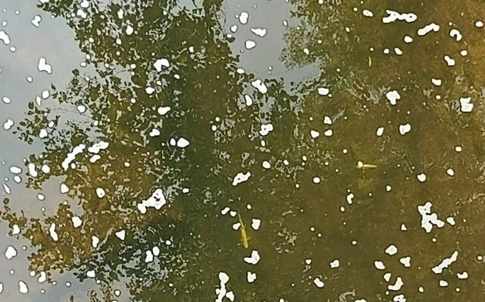 Imagen del vertido