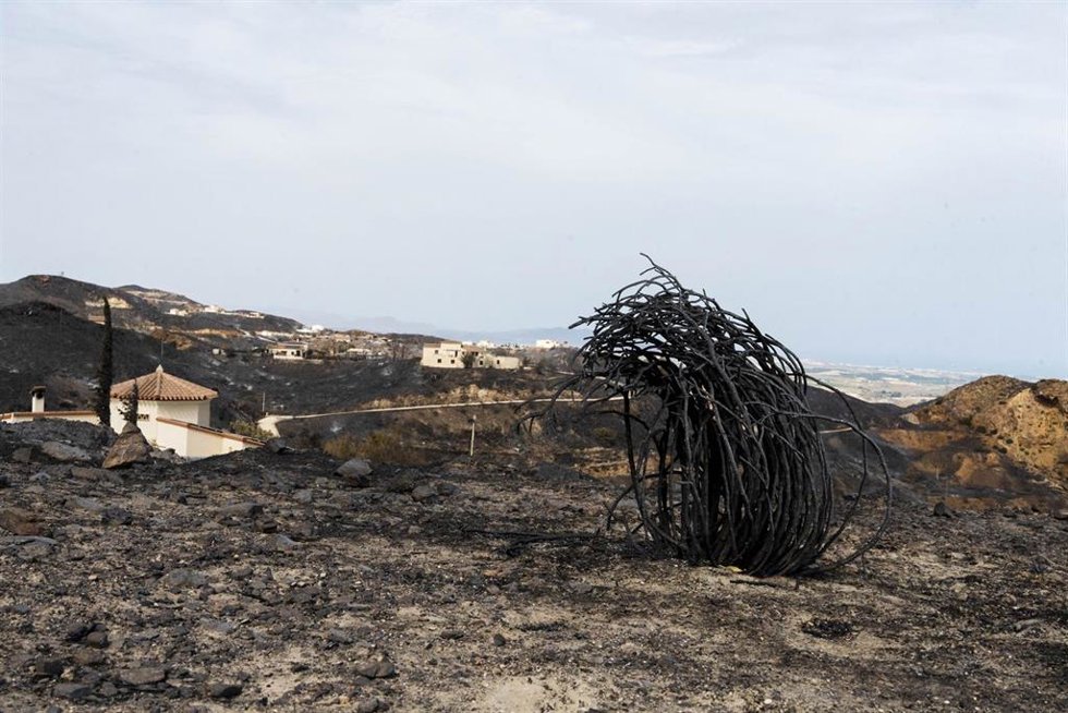 Zonas afectadas por el incendio forestal de Los Gallardos (Almería).