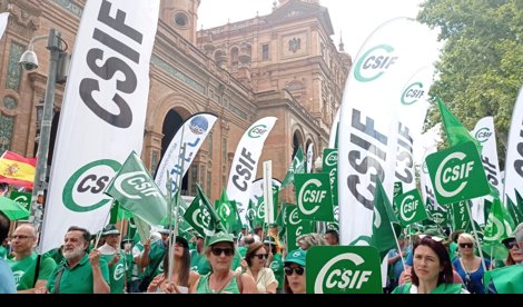 notibrasil sociedade