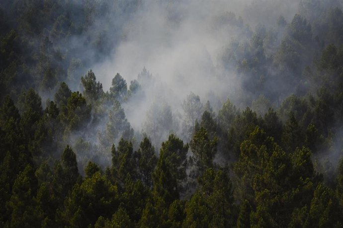 Superficie forestal quemada durante el incendio forestal de La Mierla en Muriel.